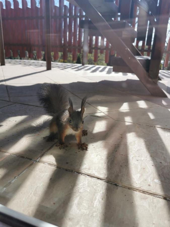 Sokristaly Vendeghaz Otel Demjén Dış mekan fotoğraf